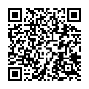 结果支持黄浩然继续担任语文课代表的学生超过了三分之二二维码生成