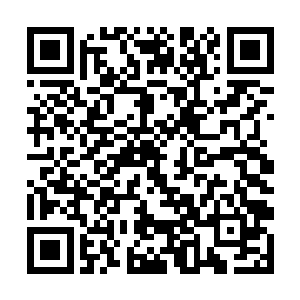 结果流墨墨他们带自己等人离开的方法竟然只是这样二维码生成