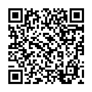 结果还不是自己的功劳叶芸的心里也是有点儿心虚的二维码生成