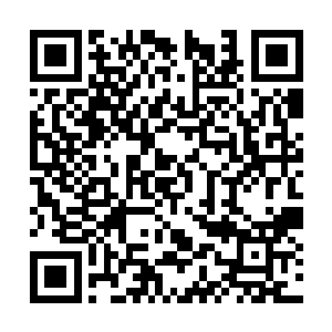 给了他们打反击的机会而刚刚圣保罗正处在攻势里二维码生成