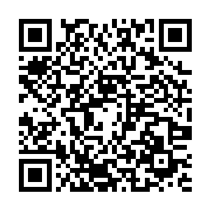 给她做颅骨矫正手术的正是她曾经肆意伤害过的谢兰兰二维码生成