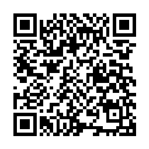 给这本来就是凤凰族用来隔绝和控制召唤元凤的封界环一控制二维码生成