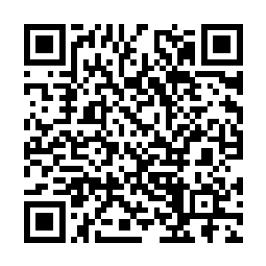 绝对就能够碾压几个连气化阶段都没有达到的巫师二维码生成