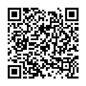 继而在林烽体内的自动转换之下迅速汇聚到丹田内二维码生成