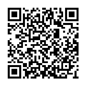 继而我的双手不受控制地对着我的面门拍了过来二维码生成