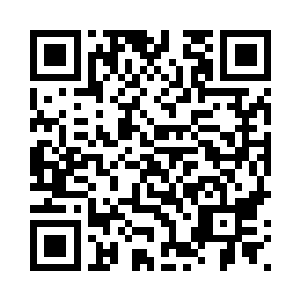 绿墙上的紫色花朵摘入了他的手中二维码生成