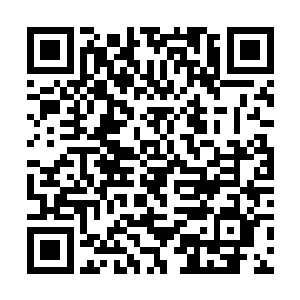 绿龙奥斯蒙亚和他狼族的龙骑士卡卡基再度卷土从来二维码生成
