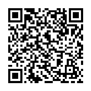 缎子一样油光水滑的皮毛把它们从野生狗熊彻底的分开了二维码生成