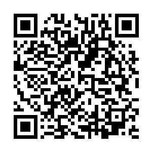 罗天行展开前世的八臂魔神体和转世之后的狂魔神体二维码生成