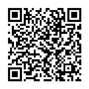罗家族长罗浮正在最大城堡内听取手下的例行汇报二维码生成