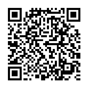 罗建那带着强大圣之力的一拳狠狠的与剑尘踢来的脚碰撞在一起二维码生成