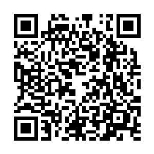 罗森伯格在这段戏里完美的展现了自己的导演才华二维码生成