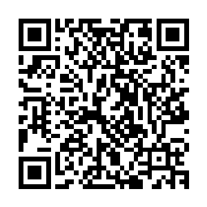 罗浮宫能冷眼旁观一个可以杀死白破天的强者在它的地盘崛起吗二维码生成