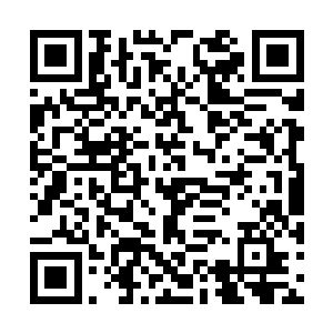 罗琳这个时候走了过来探究目光望着我问我怎么了二维码生成