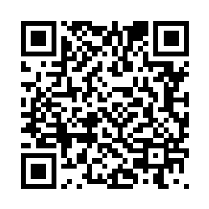 美得让他们两个老头子都不敢直视二维码生成