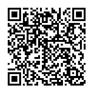 群龙无首的宁阳教早就被因为修仙者排斥的修魔散修们攻击瓜分了二维码生成