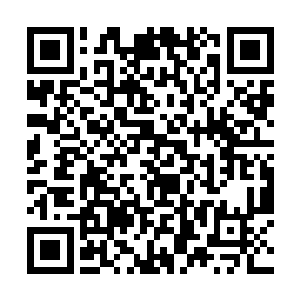 翻到了日本网络上曾经一张藤井文川儿子的黑白照片二维码生成