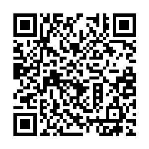 翻身倒地的两人瞪大了眼睛难以置信地看着徐堂然二维码生成