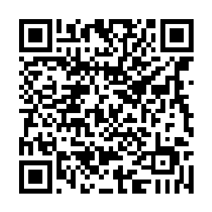 翼龙异形利爪和尖嘴也同样受到了异形基因的强化二维码生成