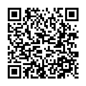老人可能会安安稳稳地拿着固定的工资过上安逸的生活二维码生成
