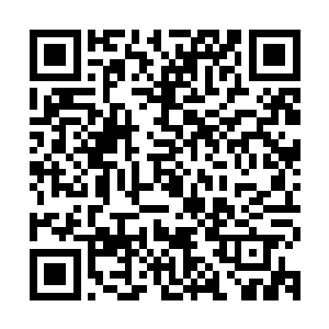 老取和真哥就得到了接近的机会……靠着一块吸音钢材质的盾牌二维码生成