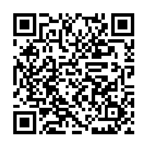 老太太和虞品言意欲退亲的消息她是一点也没收到二维码生成