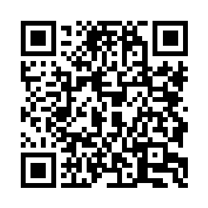 老夫又怎不知鸡蛋不能放在一个篮子里的道理二维码生成