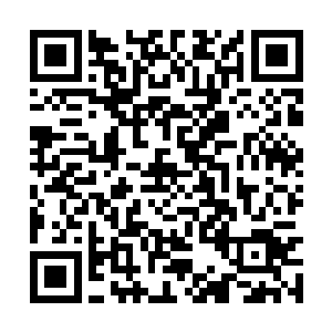 老夫这是变着法让自己避开和这臭小子的师徒因果二维码生成