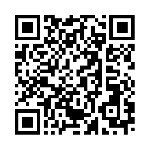 老朽代表拍卖总会欢迎各位的到来二维码生成