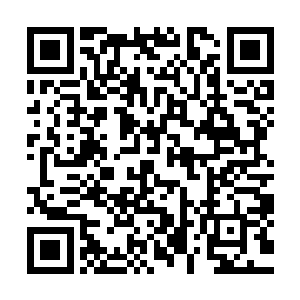 老祭祀和睿还有青云以及一些听风的人都跑过来看凌菲挑东西二维码生成