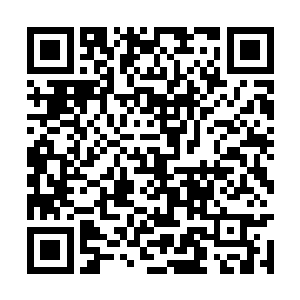 老秦这回算是把过去那么些年攒下的那么一点老脸二维码生成