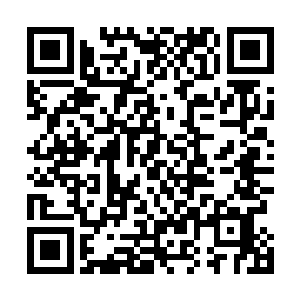 老者满眼肉痛不舍的看了一眼夜染手上把玩着的金色内丹二维码生成