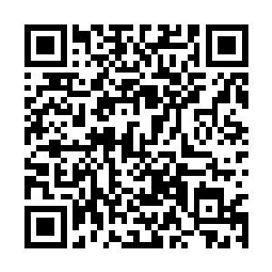 老者看着一个个修行者大包小包的跑出来逃向四方二维码生成