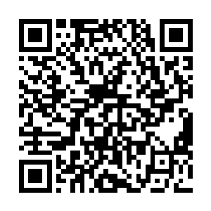 而一旁的司空嫣然和羽菲则是看着叶凡送给江雪的夜明珠二维码生成