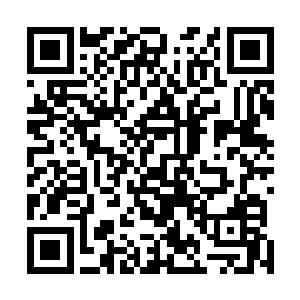 而一路上不断有一道道五彩斑斓的符文带子往他身上汇集二维码生成