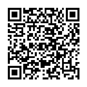 而一队的任务刚好就是针对想要逃跑的主要人物的二维码生成