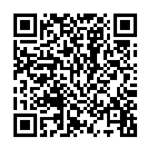 而上元大陆的各个宗门家族也都在想尽办法提升自己的防御大阵二维码生成