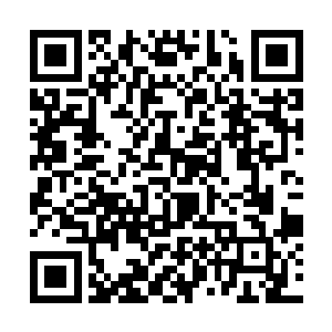 而下面的尸体也只能证明他不想让别人知道他的去向二维码生成