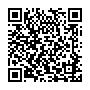 而与此同时那血神子也从石魔崩溃的身躯之中出现二维码生成