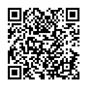 而且……刚才还是程元宝主动回答的老爷子的问题二维码生成