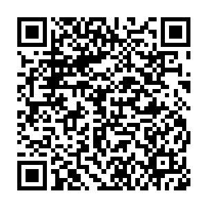 而且他们在夹河市暗中培养的养魂组和炼魂组也在毒龙会的打压下二维码生成