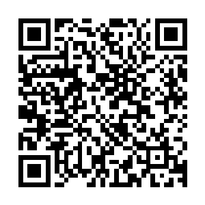 而且他没想到自己界之力量第五重居然还无法躲开对方的这一下二维码生成