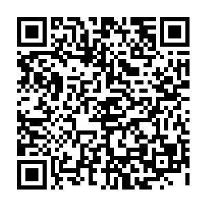 而且以后他会不定期的寻找各种灵气和仙之力充足的仙草羡慕来滋润这个世界二维码生成
