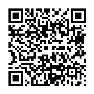 而且你却不见就连你父和我今日也被他玩弄于鼓掌之间么二维码生成