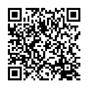 而且你难道没发现他一直都在追踪夏天和那个女的吗二维码生成