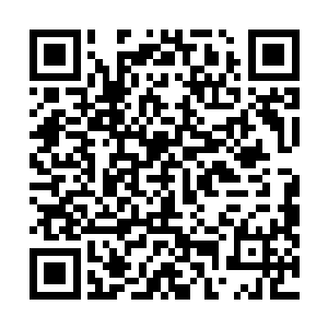 而且六姑对于怪鱼肚子里有东西吸食尸水的事情这么清楚二维码生成