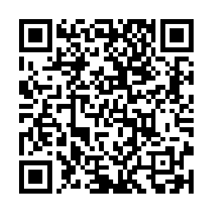 而且军训的时候还当着自己的面和其他的女孩子表白二维码生成