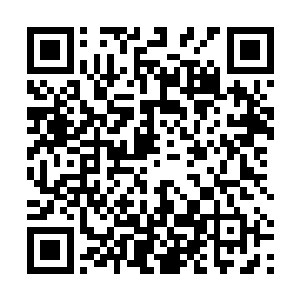 而且吸收了这些能量之后还会使自己的修为更上一层楼二维码生成