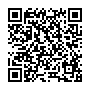 而且咱们曾家能够洗脱无辜罪名也是秦国师帮的忙二维码生成
