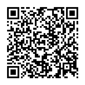 而且在一个比较隐秘的地方龙傲天竟然找到了一个盛产果子的地方二维码生成